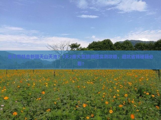 冬天到新疆天山天池大型旅游团