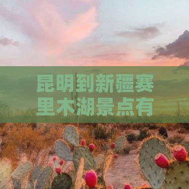 昆明到新疆赛里木湖景点