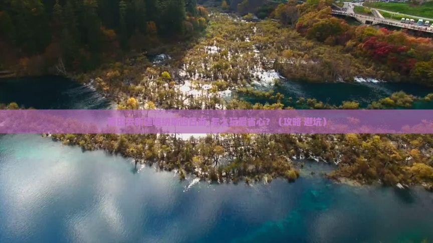 莆田去新疆喀纳斯四日游