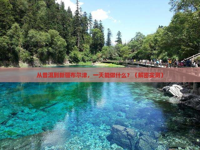 普洱去新疆布尔津一日