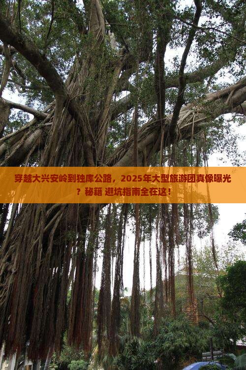 大兴安岭去新疆独库公路大型旅游团