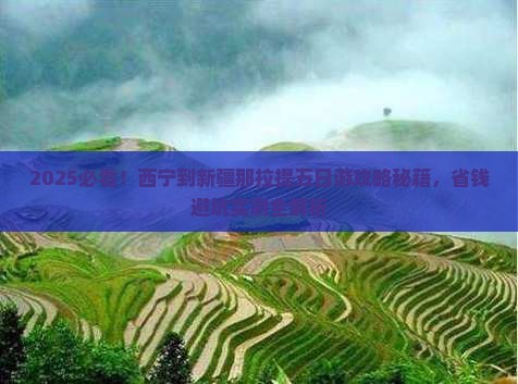 西宁到新疆那拉提五日游