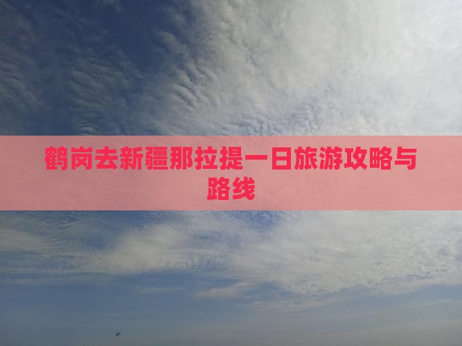 鹤岗去新疆那拉提一日