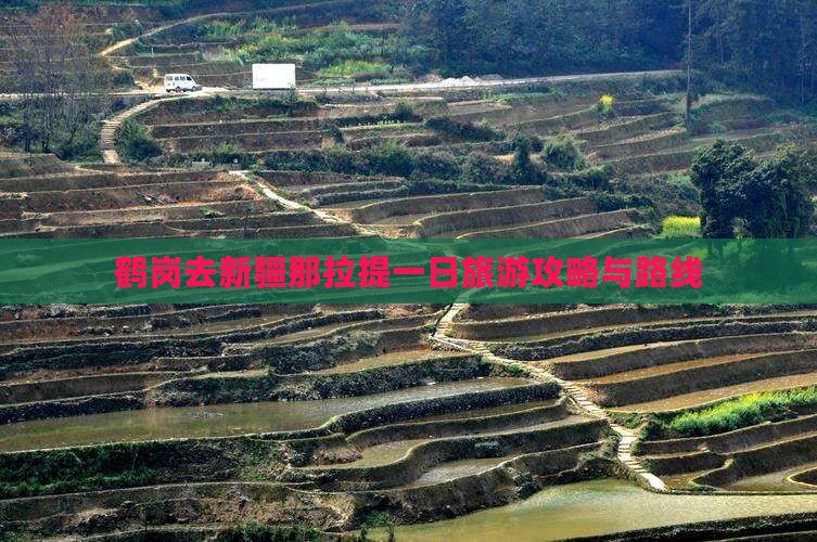 鹤岗去新疆那拉提一日