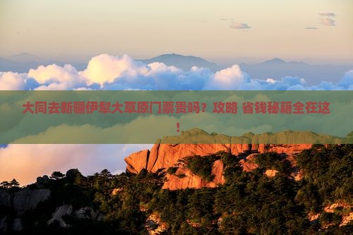 大同去新疆伊犁大草原门票