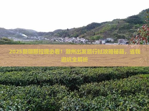 滁州到新疆那拉提旅行社