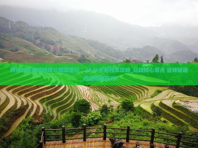 阿克苏去新疆独库公路哪里玩