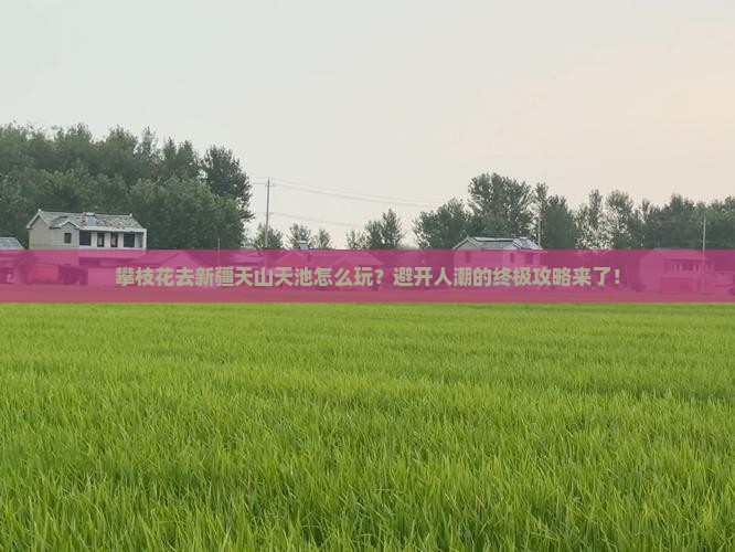 攀枝花去新疆天山天池景点