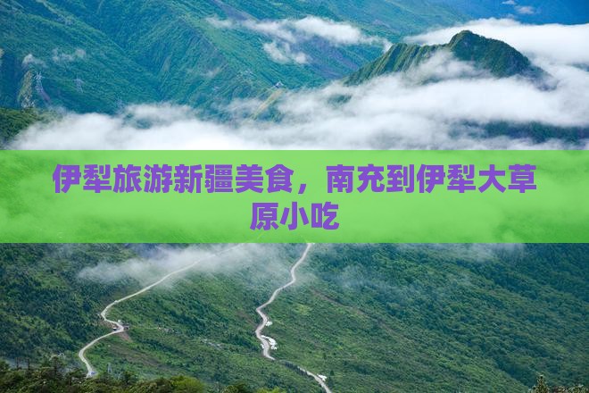 南充到新疆伊犁大草原旅游小吃