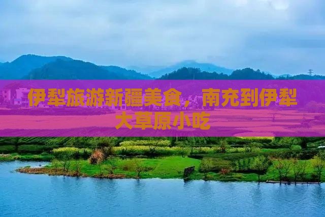 南充到新疆伊犁大草原旅游小吃
