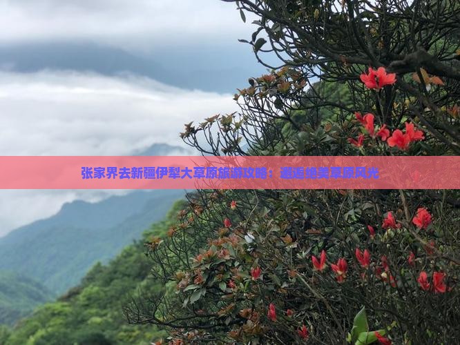 张家界去新疆伊犁大草原个人游