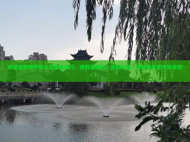 东营去新疆伊犁大草原自由行