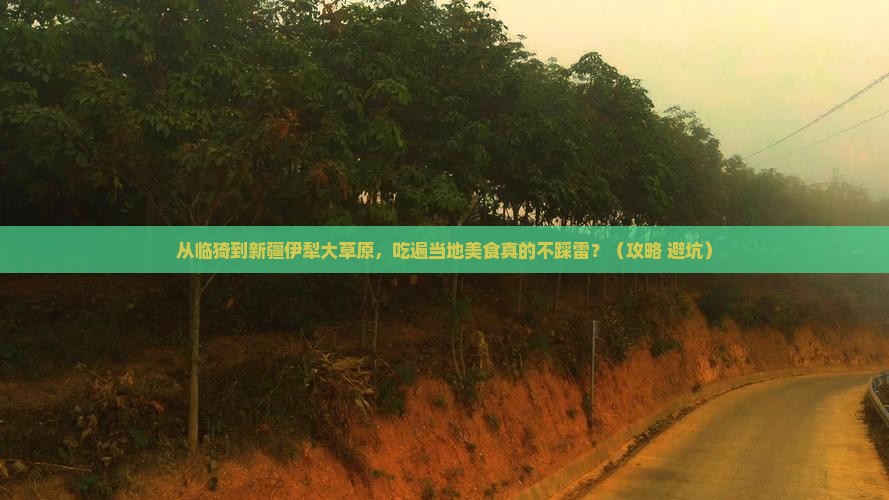 临猗到新疆伊犁大草原旅游小吃