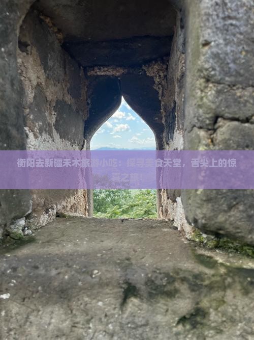 衡阳去新疆禾木旅游小吃