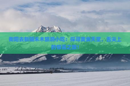 衡阳去新疆禾木旅游小吃