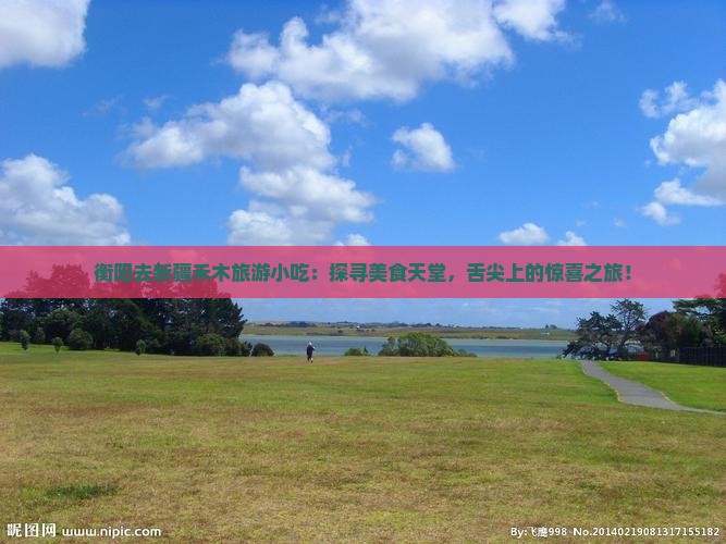衡阳去新疆禾木旅游小吃