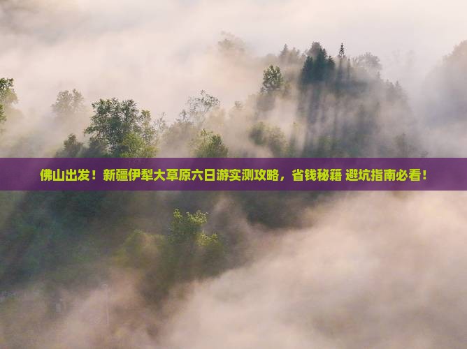 佛山到新疆伊犁大草原六日游