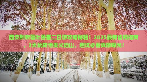 西安到新疆吐鲁番二日游