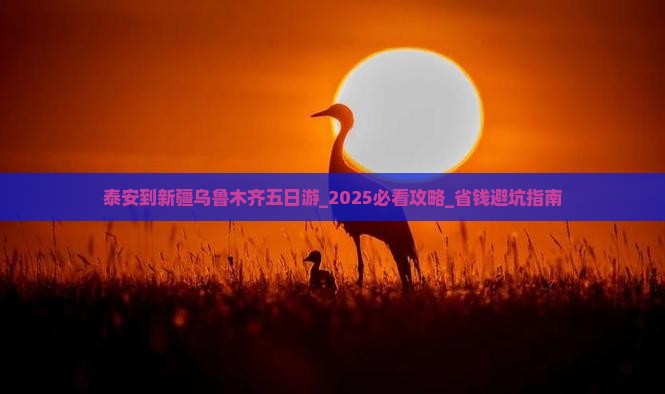 泰安到新疆乌鲁木齐五日游