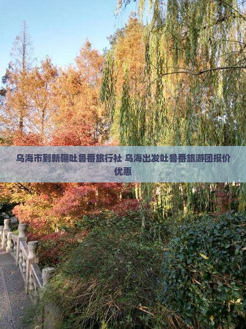 乌海市到新疆吐鲁番旅行社