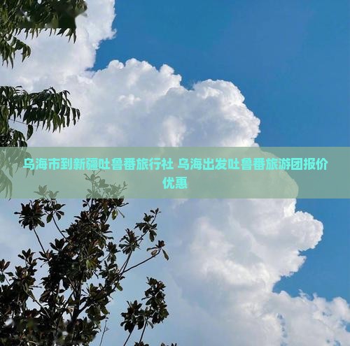 乌海市到新疆吐鲁番旅行社