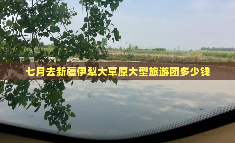 七月去新疆伊犁大草原大型旅游团