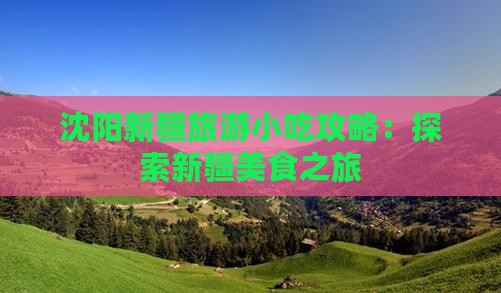 沈阳去新疆旅游小吃