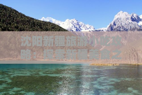 沈阳去新疆旅游小吃