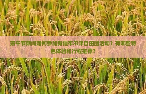 端午节期间如何参加新疆布尔津自由团活动？有哪些特色体验和行程推荐？