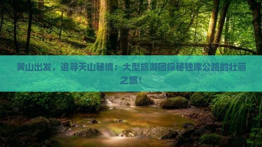 黄山出发，追寻天山秘境：大型旅游团探秘独库公路的壮丽之旅！