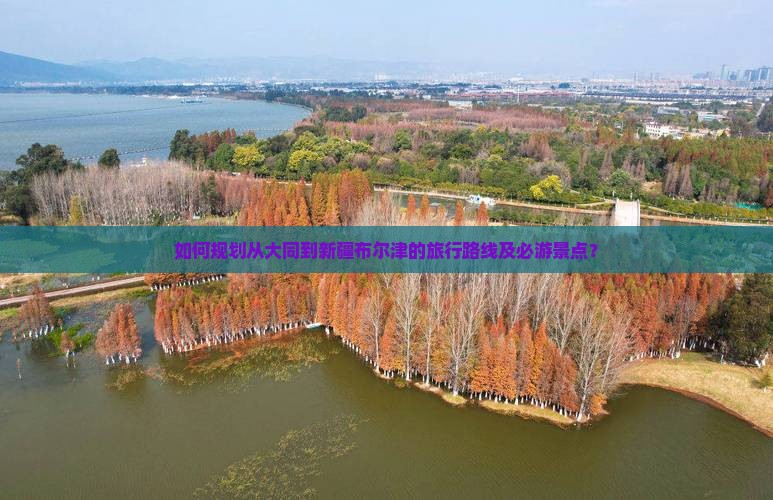如何规划从大同到新疆布尔津的旅行路线及必游景点？