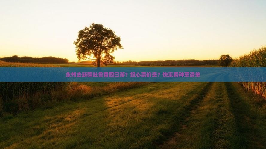 永州去新疆吐鲁番四日游？担心票价贵？快来看种草清单