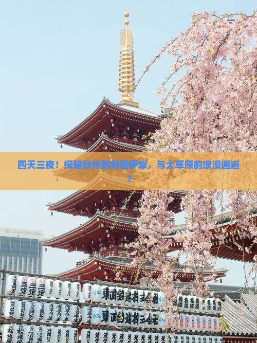 四天三夜！探秘钦州到新疆伊犁，与大草原的浪漫邂逅？