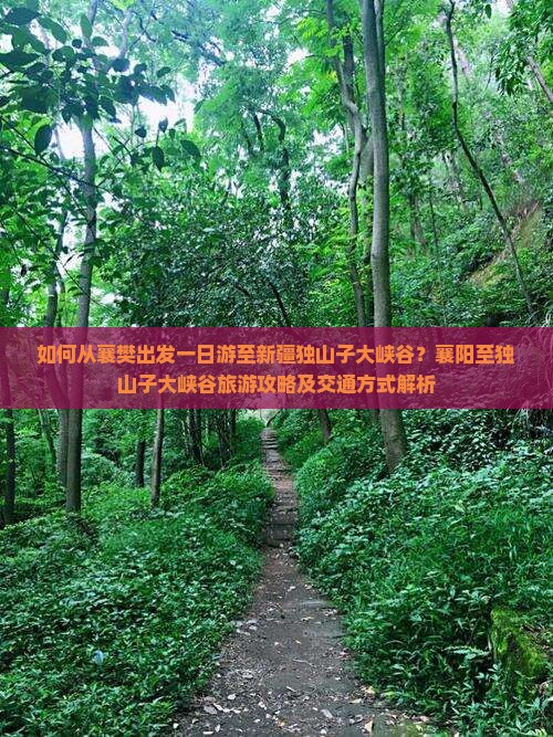 如何从襄樊出发一日游至新疆独山子大峡谷？襄阳至独山子大峡谷旅游攻略及交通方式解析