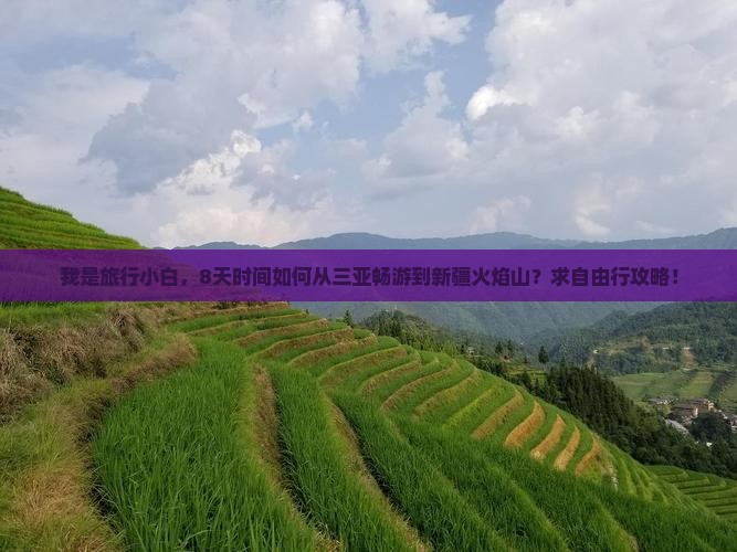 我是旅行小白，8天时间如何从三亚畅游到新疆火焰山？求自由行攻略！