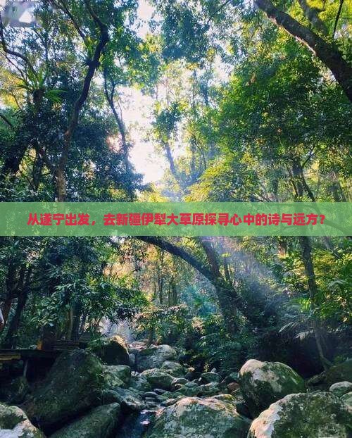 从遂宁出发，去新疆伊犁大草原探寻心中的诗与远方？