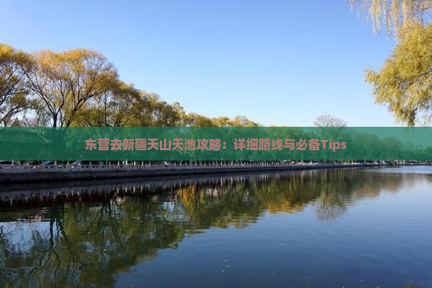 东营去新疆天山天池攻略:详细路线与必备Tips 东营去新疆天山天池攻略:详细路线与必备Tips