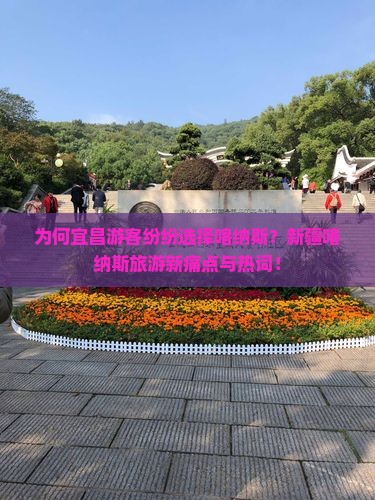 为何宜昌游客纷纷选择喀纳斯？新疆喀纳斯旅游新痛点与热词！