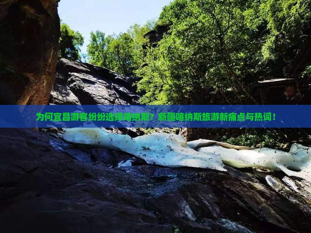 为何宜昌游客纷纷选择喀纳斯？新疆喀纳斯旅游新痛点与热词！