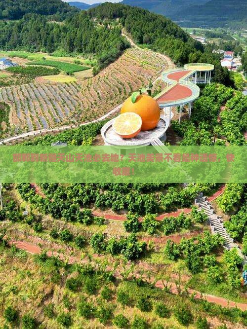 邯郸到新疆天山天池必去地？天池美景不看是种遗憾，快收藏！