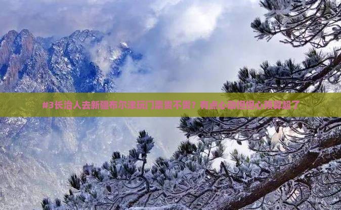#3长治人去新疆布尔津玩门票贵不贵？有点心动但担心预算超了