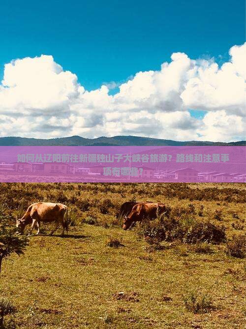 辽阳去新疆独山子大峡谷旅游