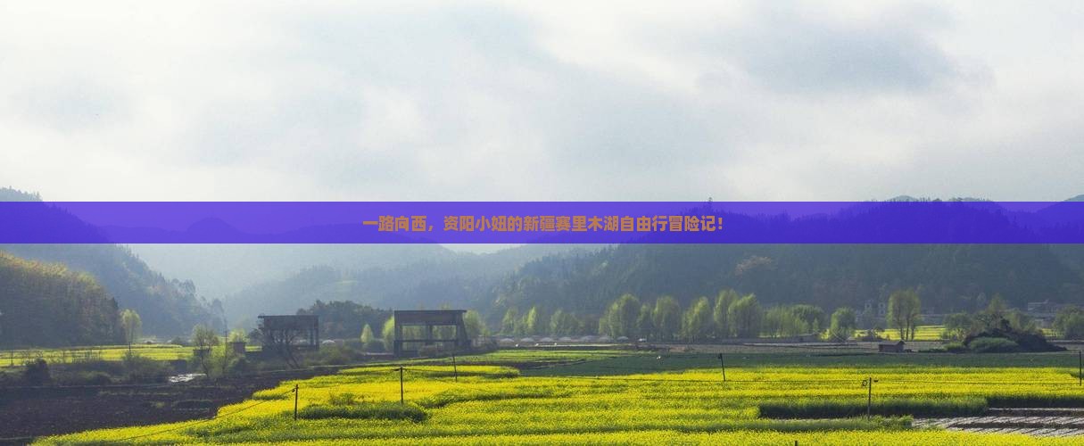 资阳到新疆赛里木湖自由行