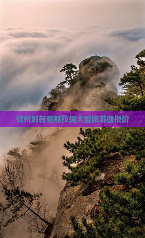 钦州到新疆那拉提大型旅游团