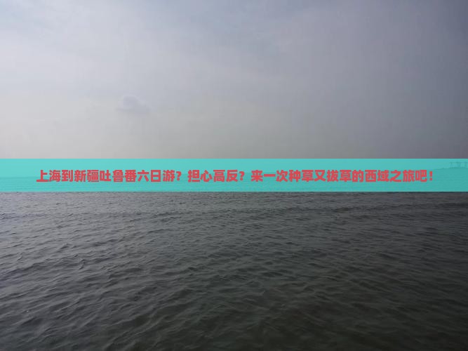 上海到新疆吐鲁番六日游
