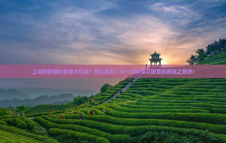 上海到新疆吐鲁番六日游