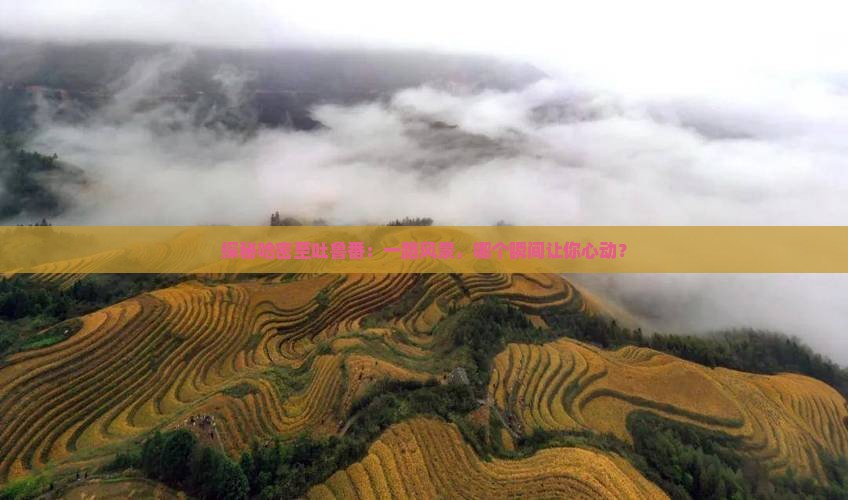 哈密到新疆吐鲁番景点