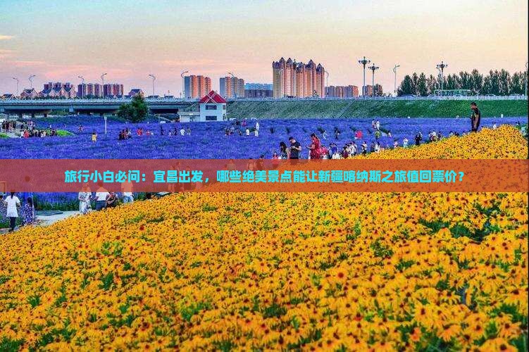 宜昌去新疆喀纳斯必去地 宜昌去新疆喀纳斯必去地