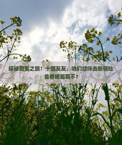十堰去新疆吐鲁番旅行社