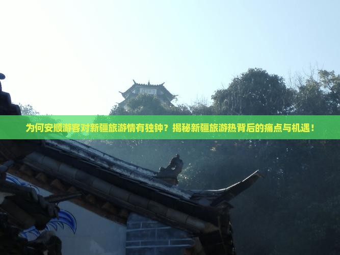 安顺去新疆旅游
